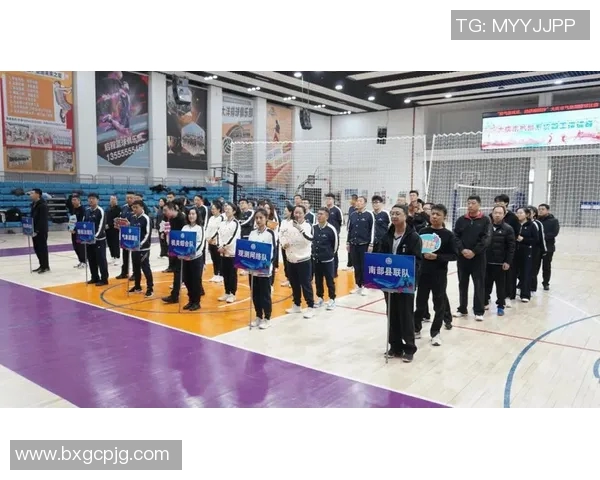 西安排球队的团队协作探讨与排球竞技精神的深度融合